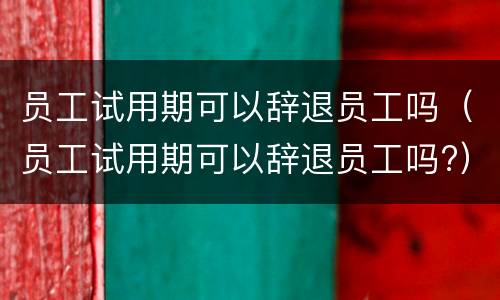 员工试用期可以辞退员工吗（员工试用期可以辞退员工吗?）