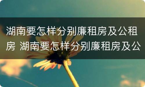 湖南要怎样分别廉租房及公租房 湖南要怎样分别廉租房及公租房呢