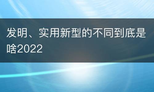 发明、实用新型的不同到底是啥2022