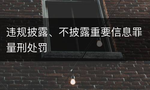 违规披露、不披露重要信息罪量刑处罚