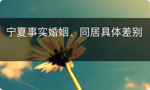 宁夏事实婚姻、同居具体差别