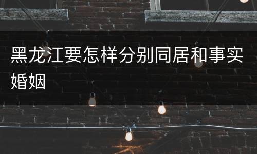 黑龙江要怎样分别同居和事实婚姻