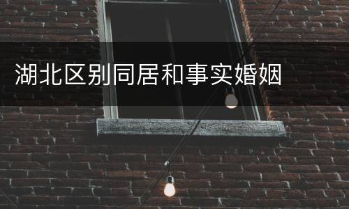 湖北区别同居和事实婚姻