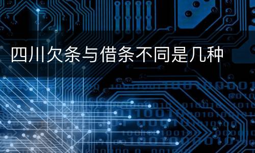 四川欠条与借条不同是几种