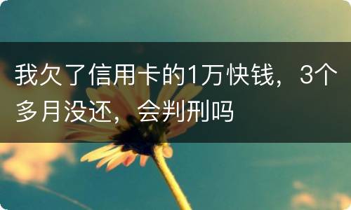 我欠了信用卡的1万快钱，3个多月没还，会判刑吗