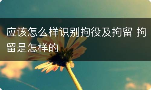 应该怎么样识别拘役及拘留 拘留是怎样的