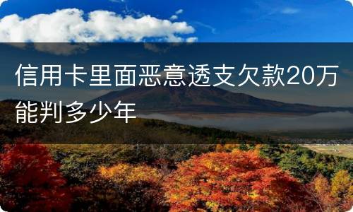 信用卡里面恶意透支欠款20万能判多少年