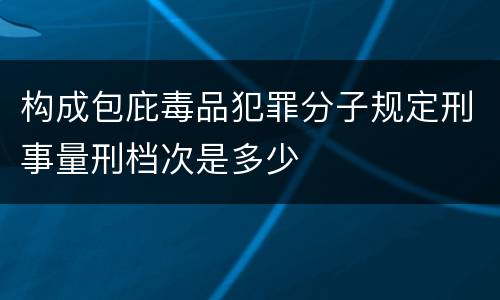 构成包庇毒品犯罪分子规定刑事量刑档次是多少