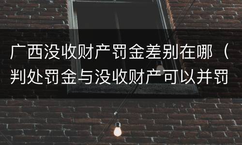 广西没收财产罚金差别在哪（判处罚金与没收财产可以并罚吗）