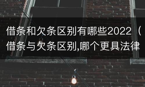 借条和欠条区别有哪些2022（借条与欠条区别,哪个更具法律）