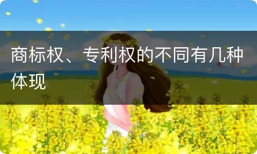 商标权、专利权的不同有几种体现
