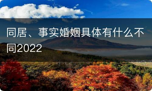 同居、事实婚姻具体有什么不同2022