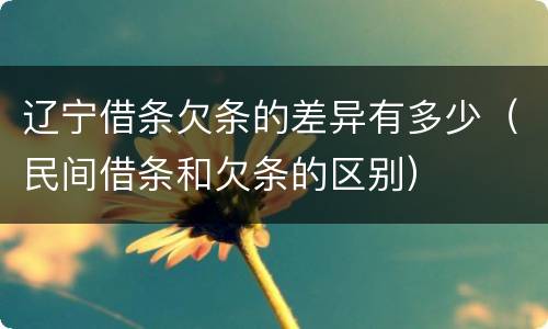 辽宁借条欠条的差异有多少（民间借条和欠条的区别）