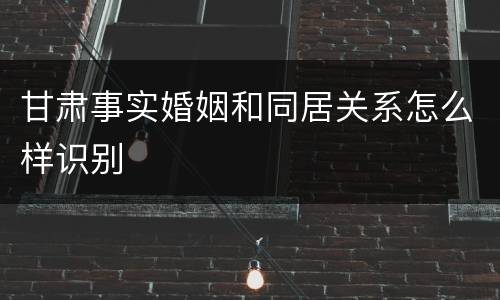 甘肃事实婚姻和同居关系怎么样识别