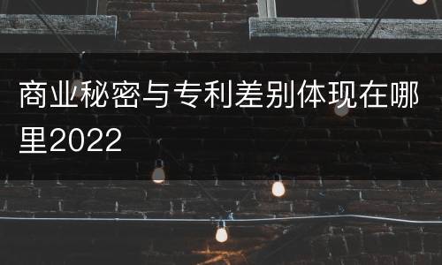 商业秘密与专利差别体现在哪里2022