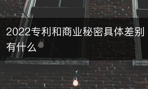2022专利和商业秘密具体差别有什么