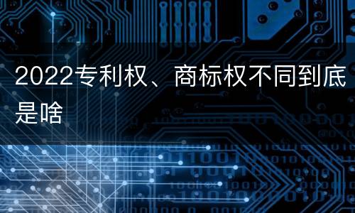 2022专利权、商标权不同到底是啥