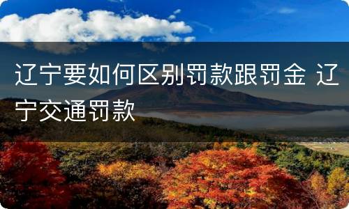 辽宁要如何区别罚款跟罚金 辽宁交通罚款
