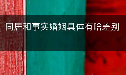 同居和事实婚姻具体有啥差别