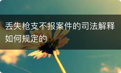 丢失枪支不报案件的司法解释如何规定的