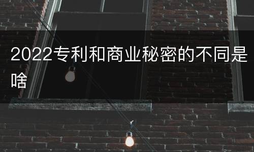 2022专利和商业秘密的不同是啥