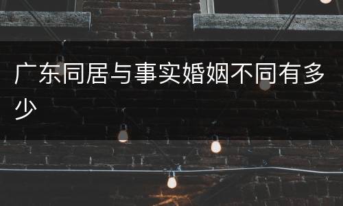 广东同居与事实婚姻不同有多少