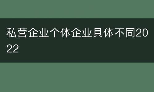 私营企业个体企业具体不同2022