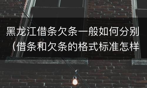 黑龙江借条欠条一般如何分别（借条和欠条的格式标准怎样写）