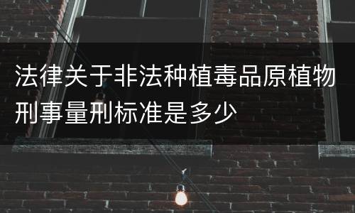 法律关于非法种植毒品原植物刑事量刑标准是多少