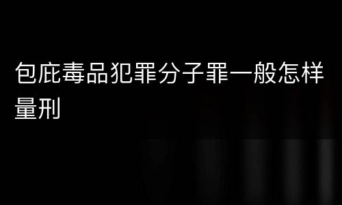 包庇毒品犯罪分子罪一般怎样量刑
