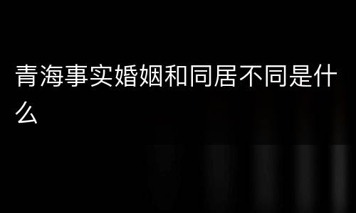 青海事实婚姻和同居不同是什么