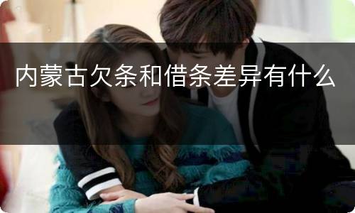 内蒙古欠条和借条差异有什么