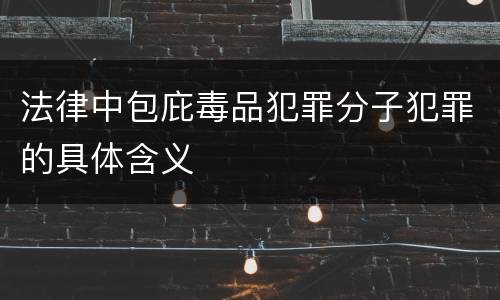 法律中包庇毒品犯罪分子犯罪的具体含义