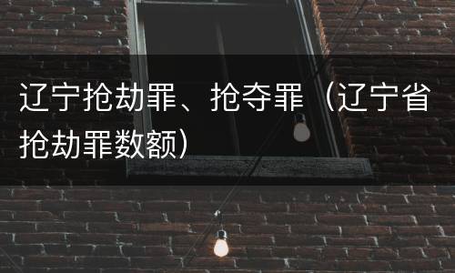 辽宁抢劫罪、抢夺罪（辽宁省抢劫罪数额）