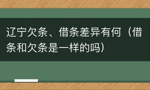 辽宁欠条、借条差异有何（借条和欠条是一样的吗）