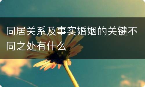 同居关系及事实婚姻的关键不同之处有什么