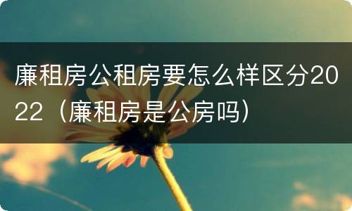 廉租房公租房要怎么样区分2022（廉租房是公房吗）