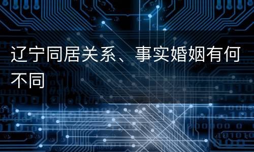 辽宁同居关系、事实婚姻有何不同