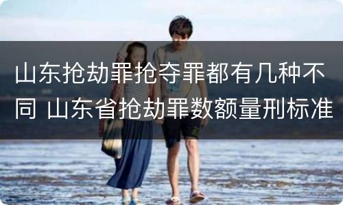 山东抢劫罪抢夺罪都有几种不同 山东省抢劫罪数额量刑标准
