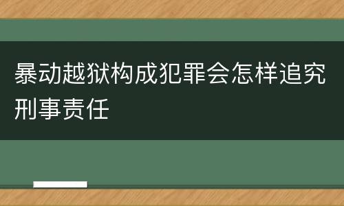 暴动越狱构成犯罪会怎样追究刑事责任