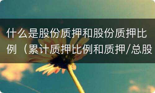 什么是股份质押和股份质押比例（累计质押比例和质押/总股本的区别）