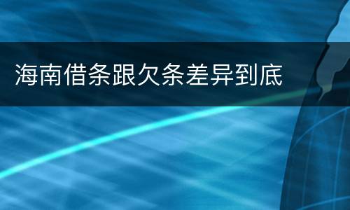 海南借条跟欠条差异到底