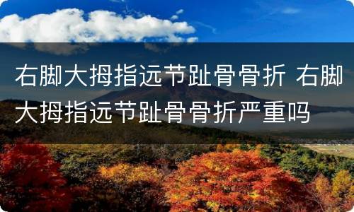 右脚大拇指远节趾骨骨折 右脚大拇指远节趾骨骨折严重吗