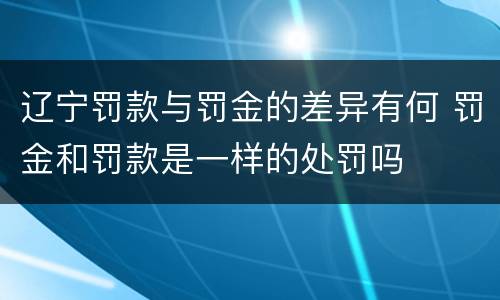 辽宁罚款与罚金的差异有何 罚金和罚款是一样的处罚吗
