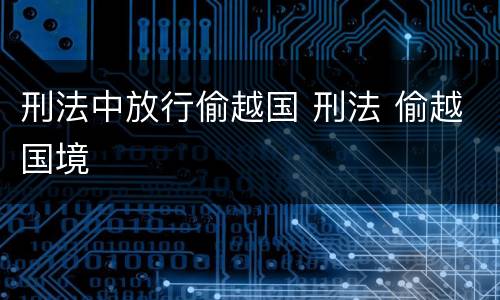 刑法中放行偷越国 刑法 偷越国境