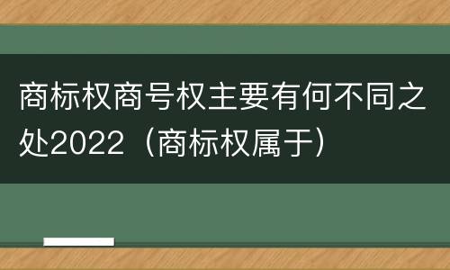 商标权商号权主要有何不同之处2022（商标权属于）