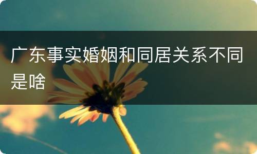 广东事实婚姻和同居关系不同是啥