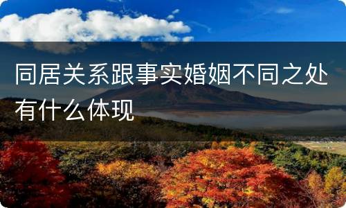 同居关系跟事实婚姻不同之处有什么体现