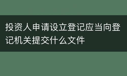 投资人申请设立登记应当向登记机关提交什么文件