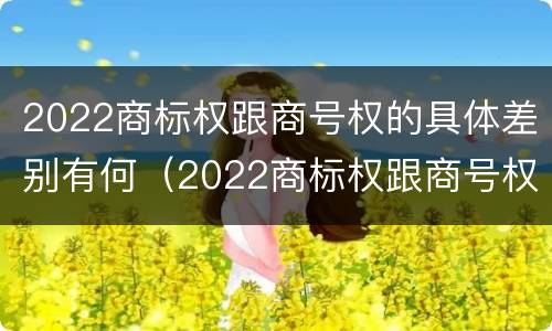 2022商标权跟商号权的具体差别有何（2022商标权跟商号权的具体差别有何影响）